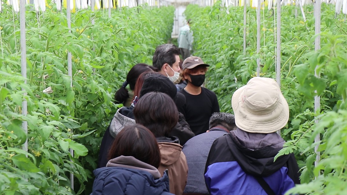 前川さん研修先トマトハウス